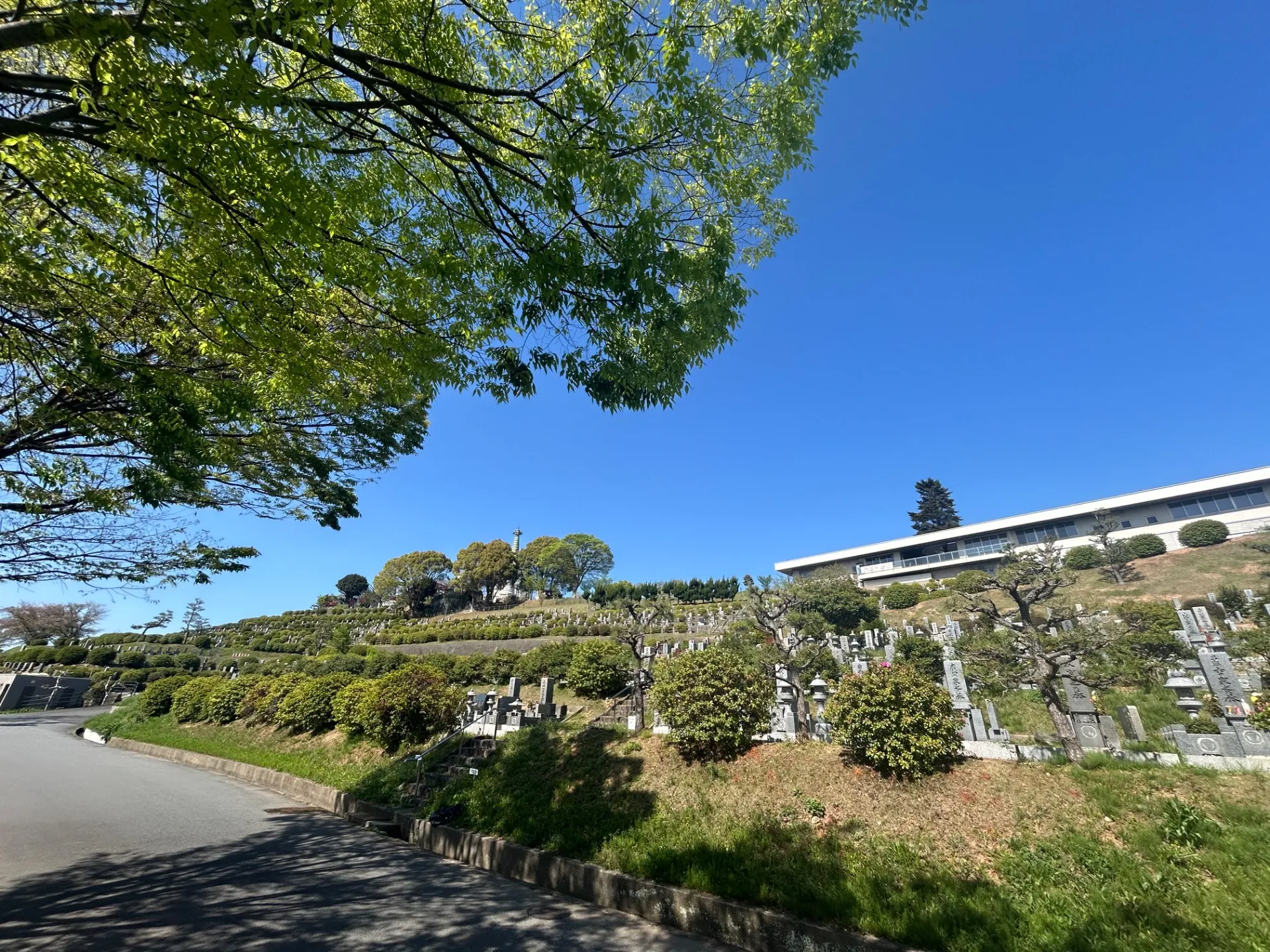 姫路市名古山霊園で見積り